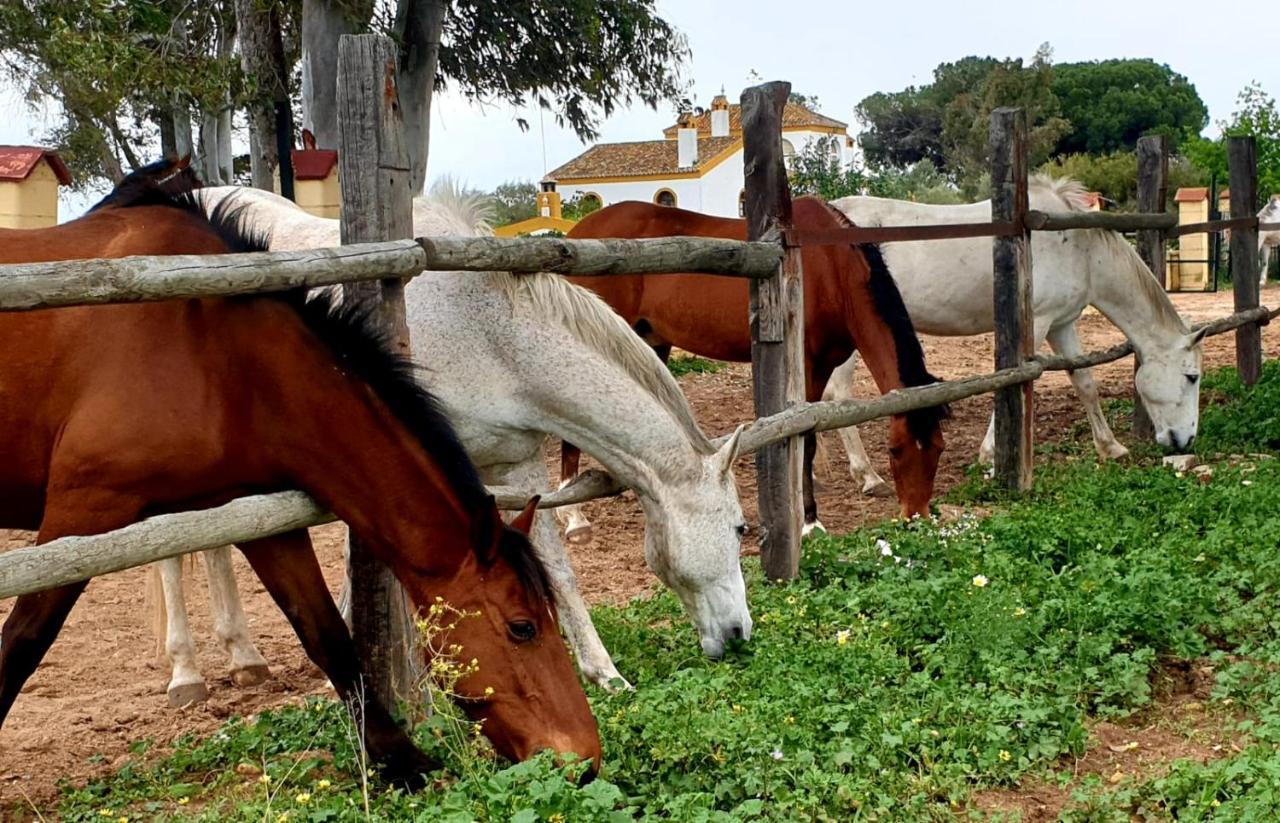 Posada Rural La Corbera Utrera Eksteriør bilde