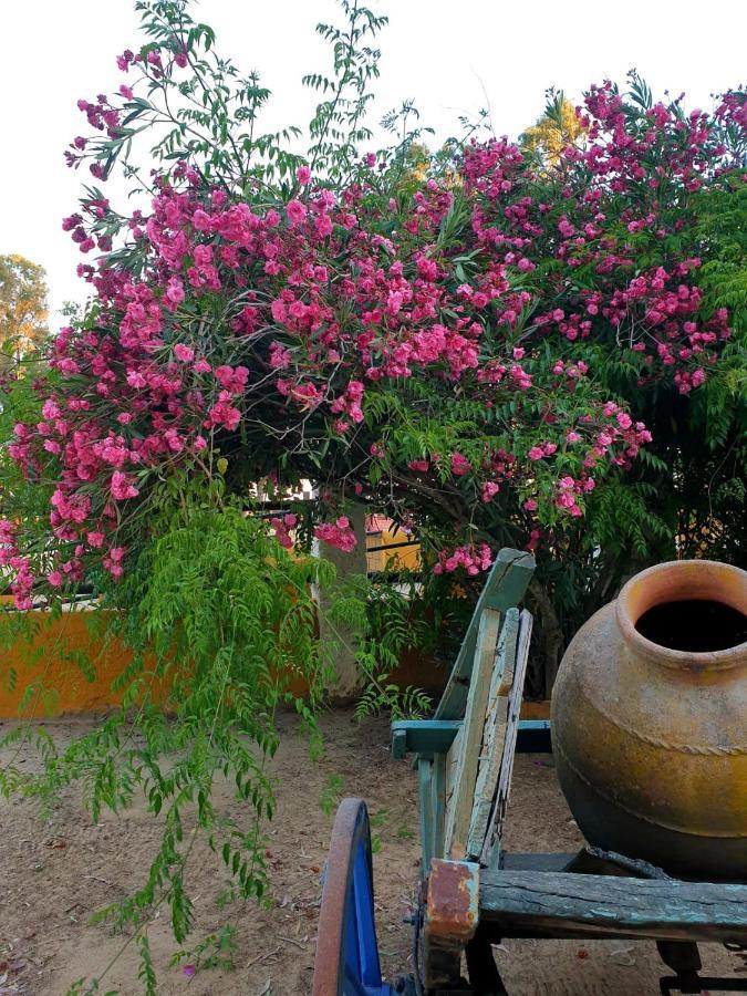 Posada Rural La Corbera Utrera Eksteriør bilde